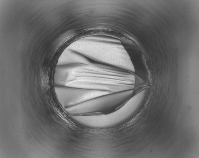 X0000080150826200701051537