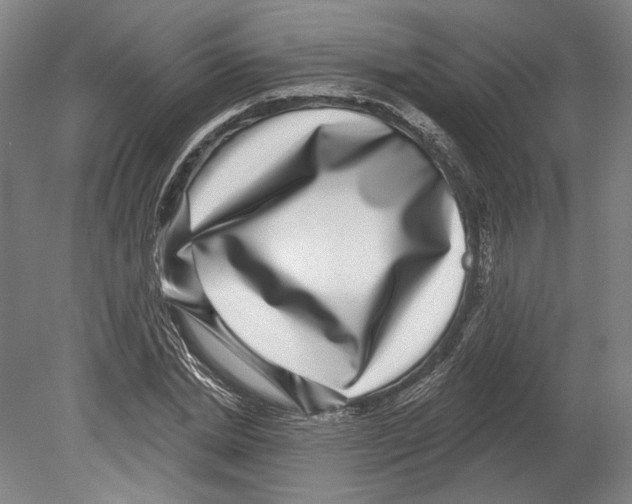 X0000080150830200701051537