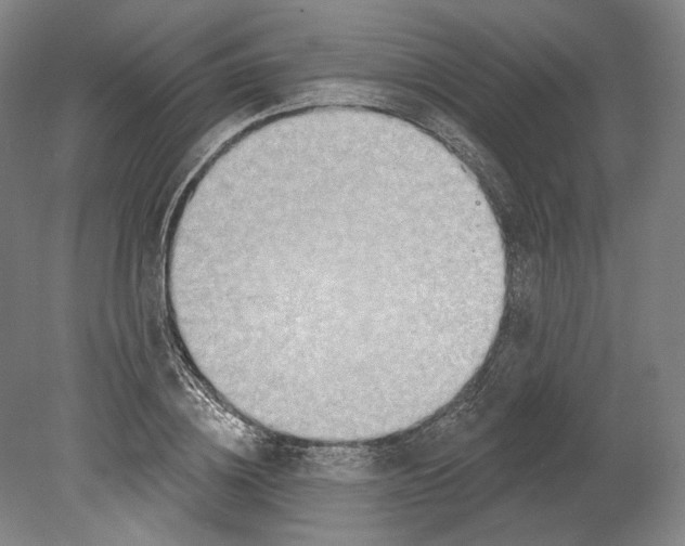 X0000080150836200701051537