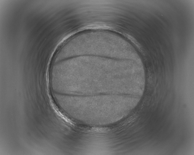 X0000080150840200701051537