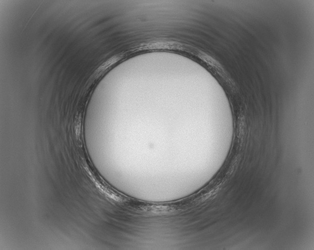 X0000080150841200701051537
