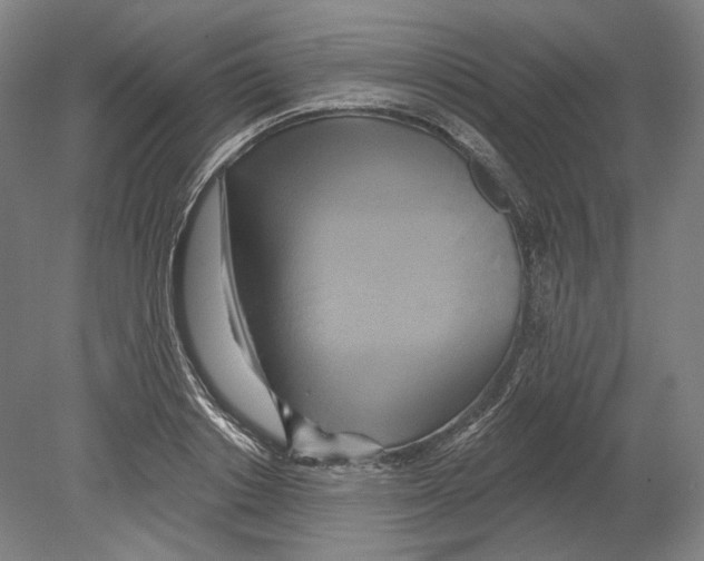 X0000080150842200701051537