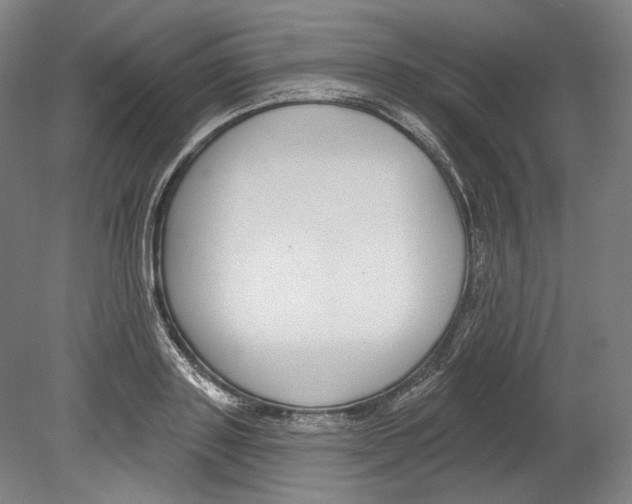 X0000080150843200701051537