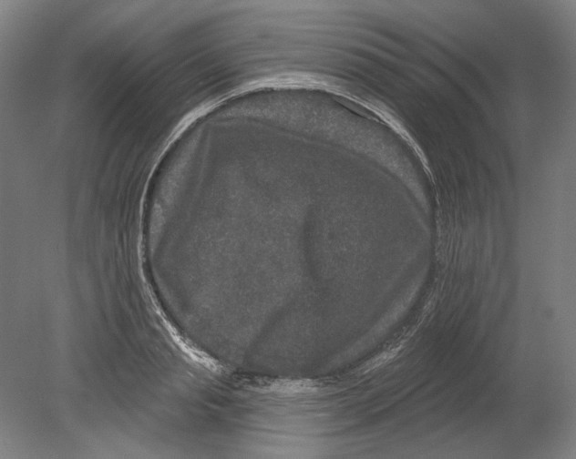 X0000080150845200701051537