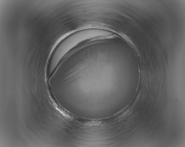 X0000080150846200701051537