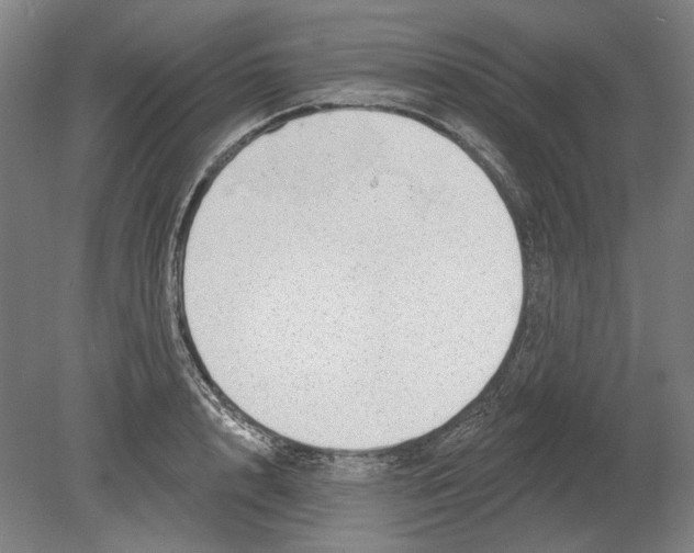 X0000080150848200701051537