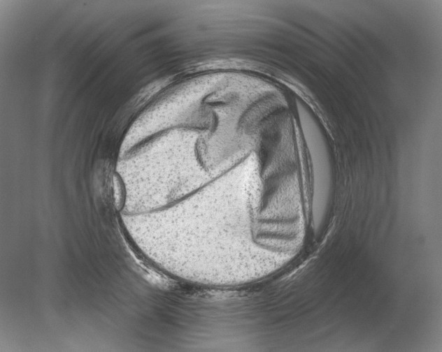 X0000080150849200701051537