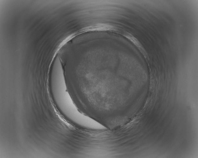 X0000080150850200701051537