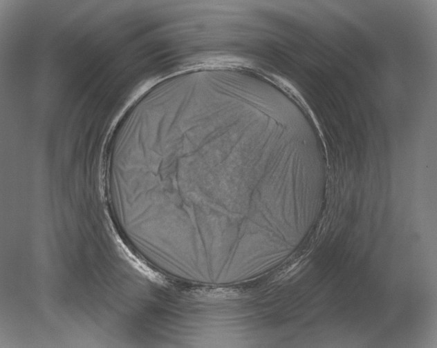 X0000080150851200701051537
