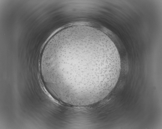 X0000080150852200701051537