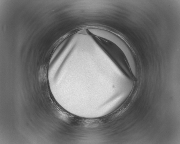 X0000080150857200701051537