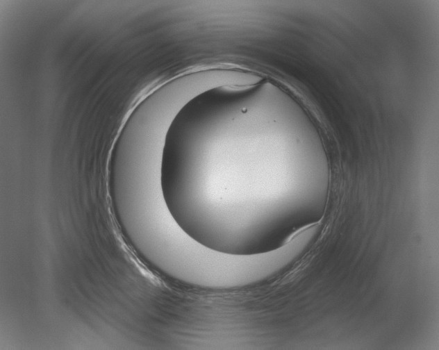 X0000080150858200701051537