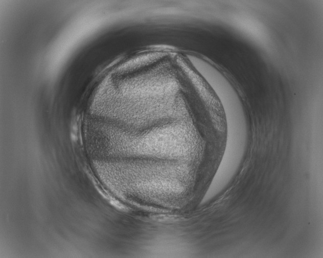 X0000080150862200701051538