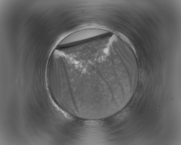 X0000080150863200701051538