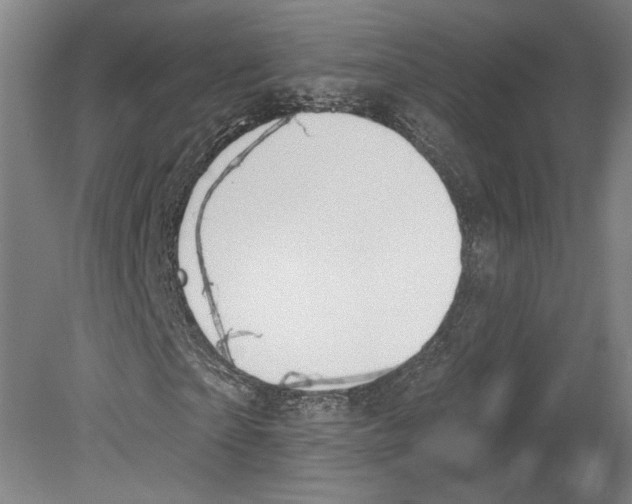 X0000080150865200701051537