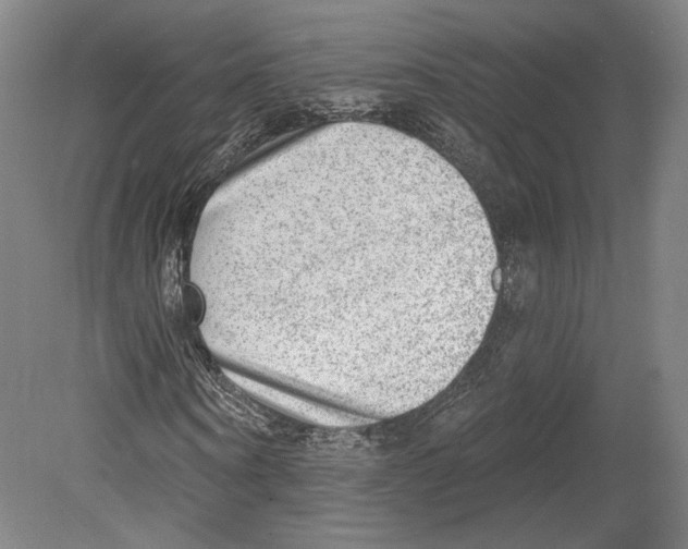 X0000080150866200701051537