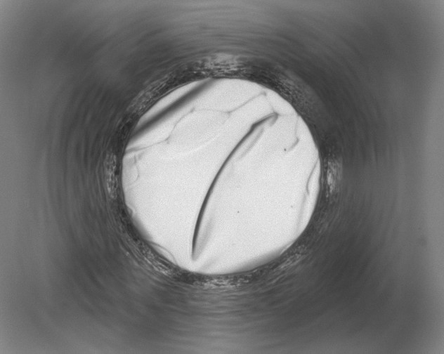 X0000080150867200701051537