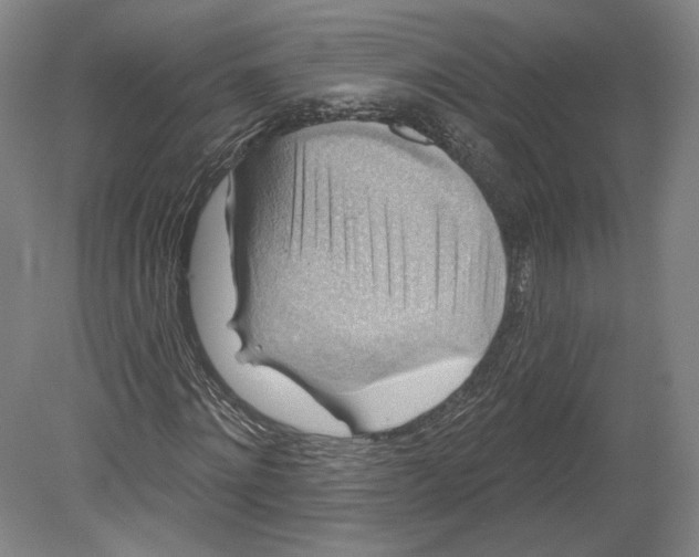 X0000080150868200701051537