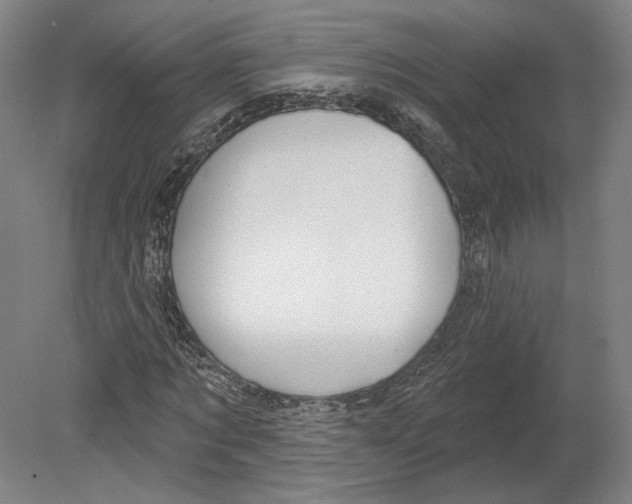 X0000080150869200701051537