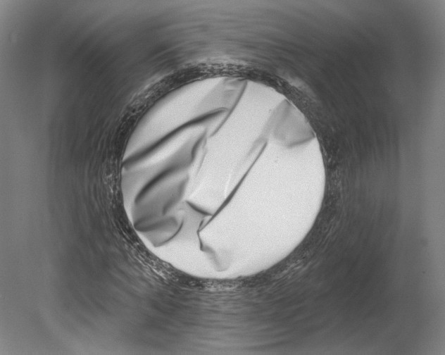 X0000080150870200701051537