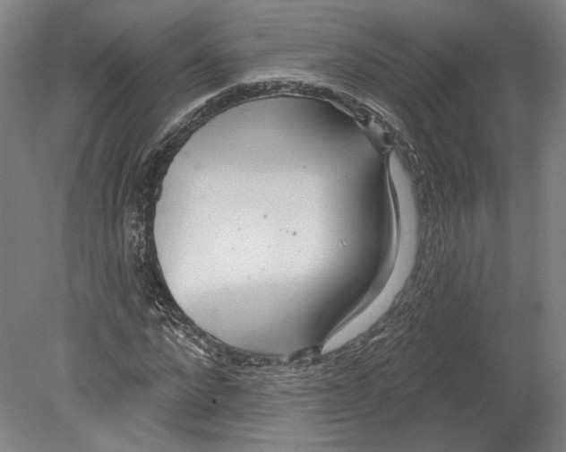 X0000080150872200701051537