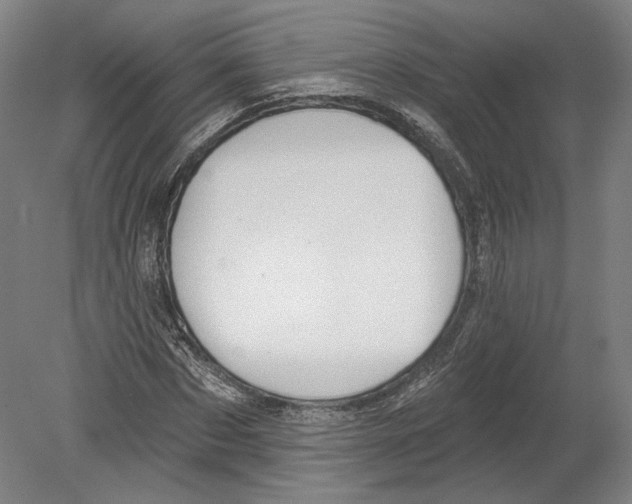 X0000080150873200701051537
