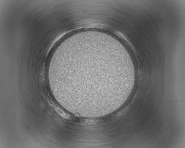 X0000080150875200701051537