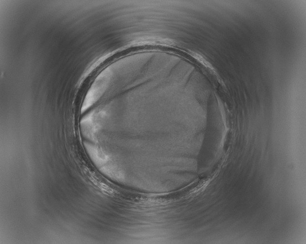 X0000080150877200701051537