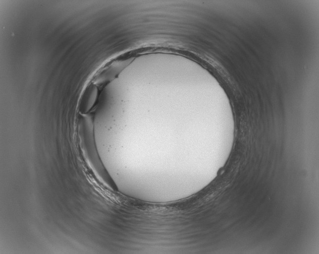 X0000080150880200701051537