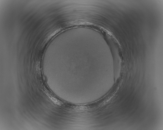 X0000080150881200701051536