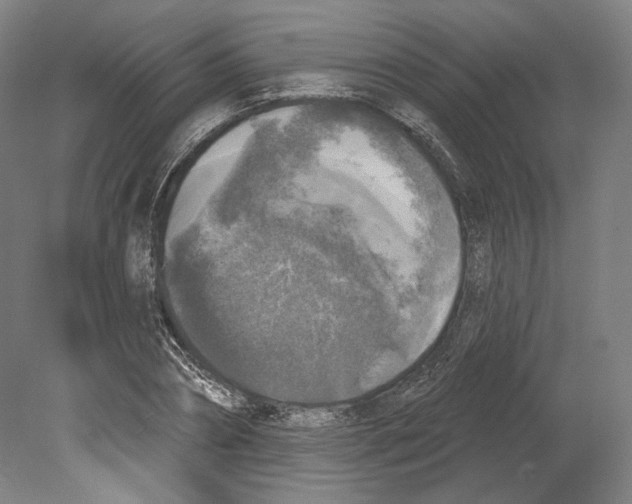X0000080150882200701051536