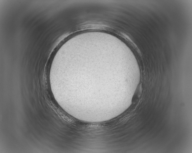 X0000080150883200701051536