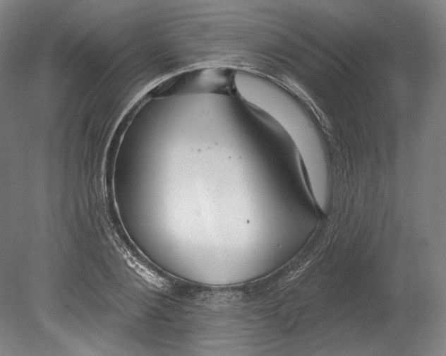 X0000080150884200701051536