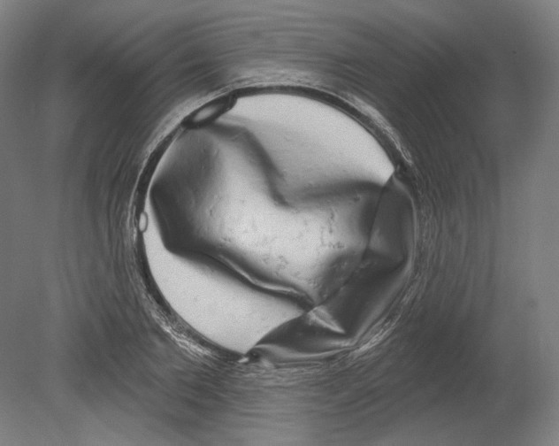 X0000080150885200701051536