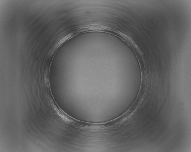 X0000080150889200701051536