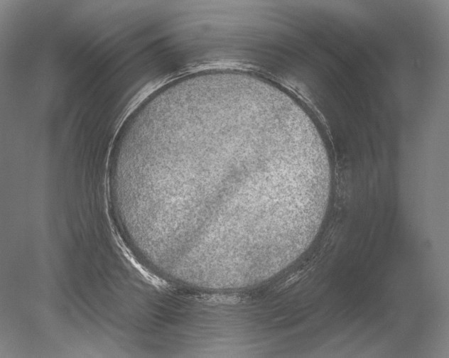 X0000080150890200701051536
