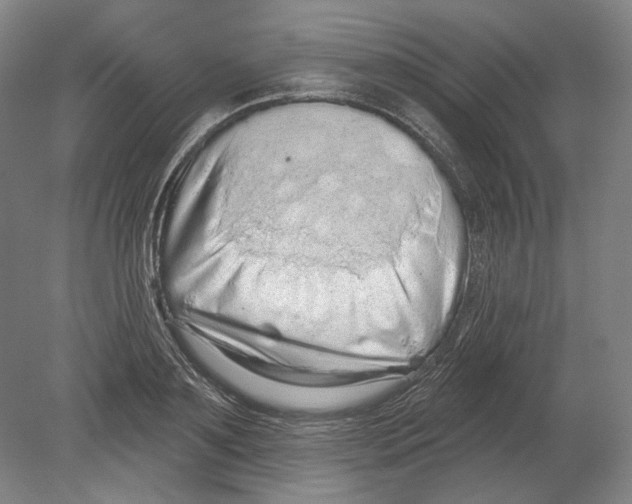 X0000080150891200701051536