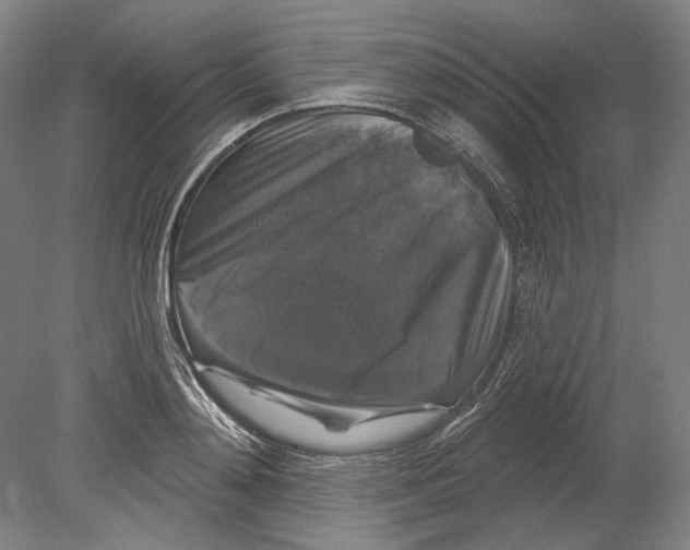 X0000080150892200701051536