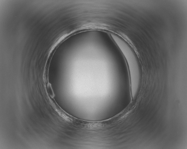 X0000080150893200701051536