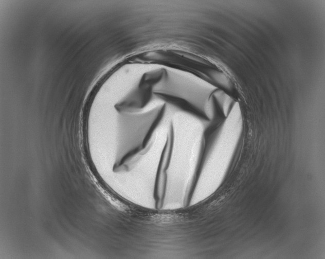 X0000080150894200701051536