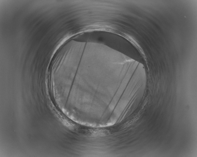 X0000080150899200701051536