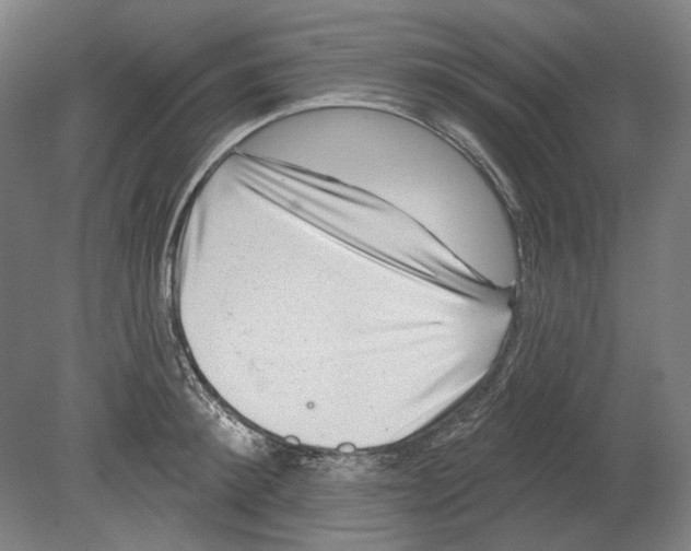 X0000080150900200701051536