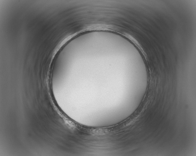 X0000080150901200701051536