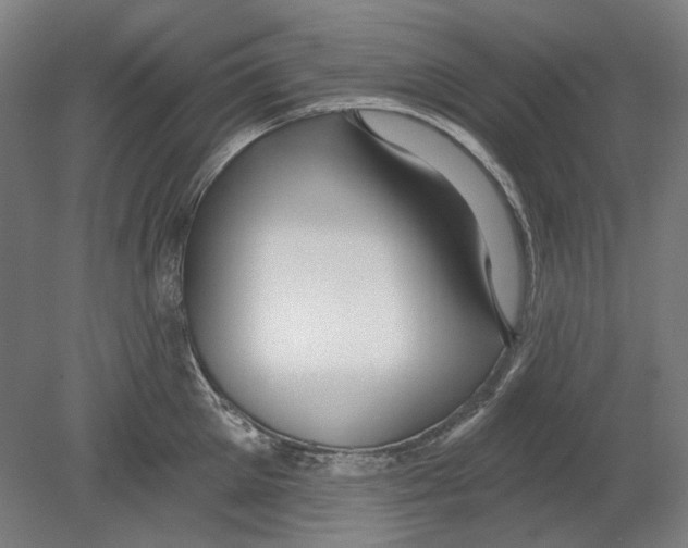 X0000080150905200701051536