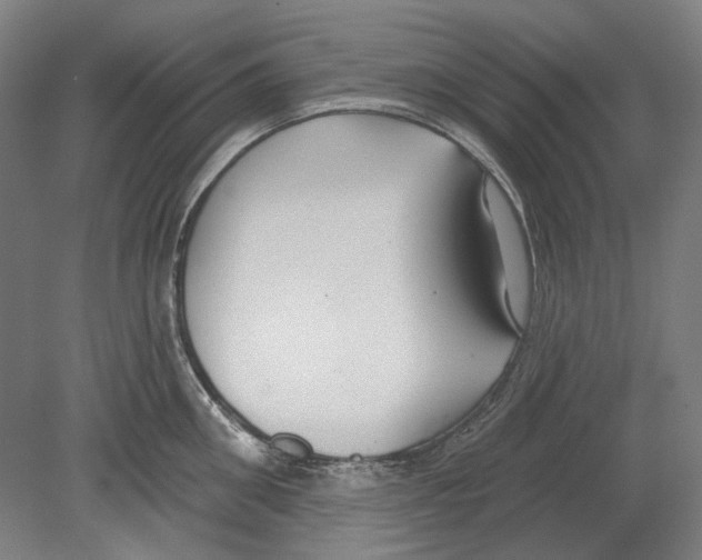 X0000080150906200701051536