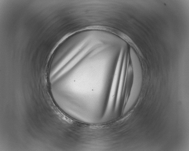 X0000080150908200701051536