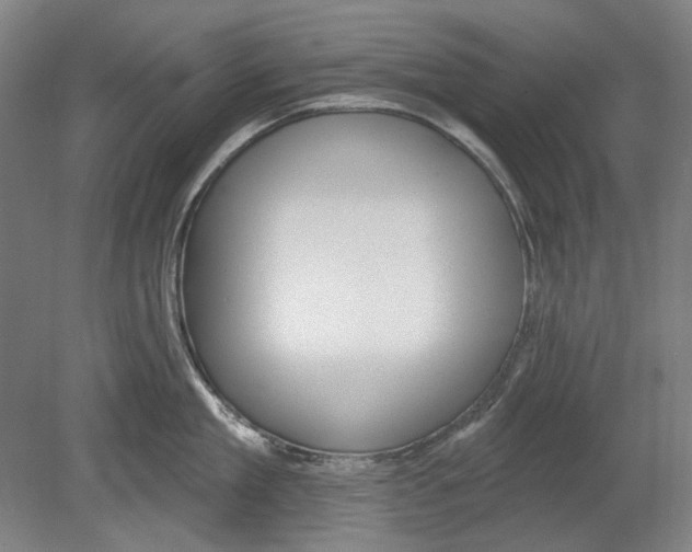 X0000080150909200701051536