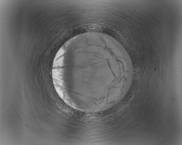 X0000080150913200701051535