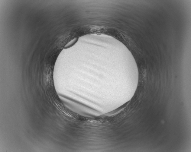 X0000080150914200701051535