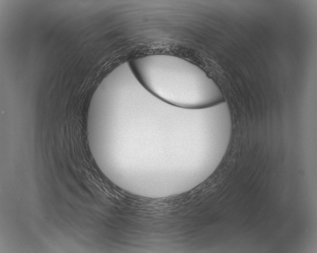 X0000080150916200701051535